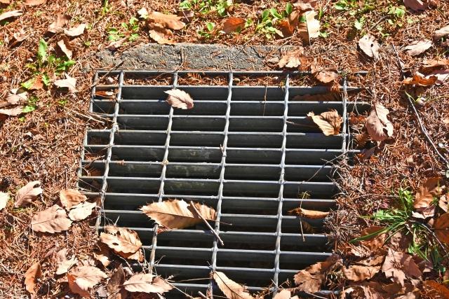 蚊の対策：落ち葉が散らばる排水溝