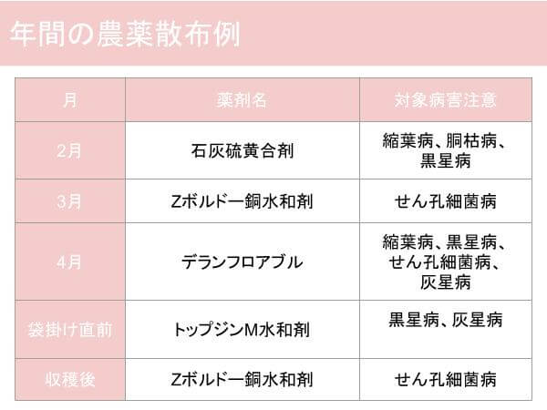 桃の育て方：年間農薬散布