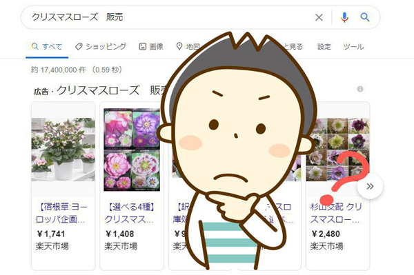 クリスマスローズの買い方：ネット通販