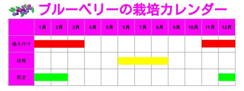 ブルーベリーの育て方：栽培カレンダー