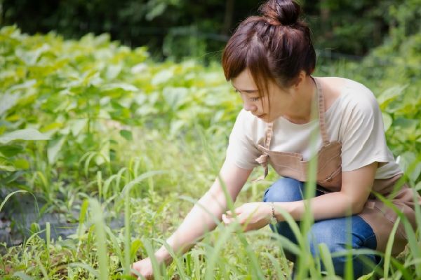 わが家の雑草対策：花を摘む除草対策