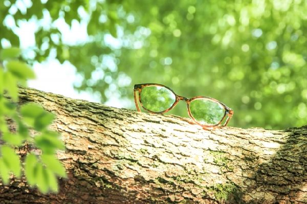 わが家の雑草対策：雑草の観察
