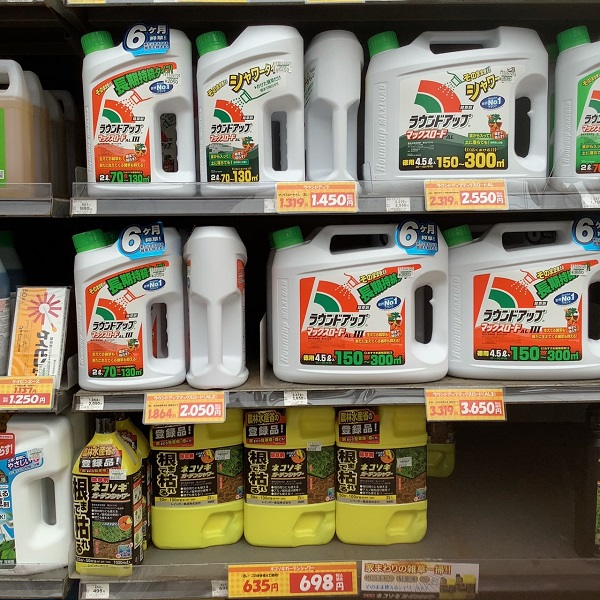 スギナの駆除対策：除草剤